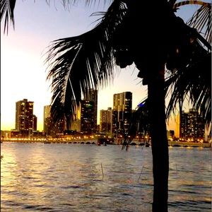 Meet your Posher, Elle Harper